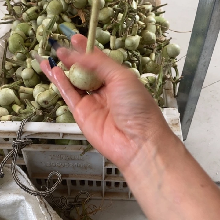 皮****我的手机在充电没有看见啊