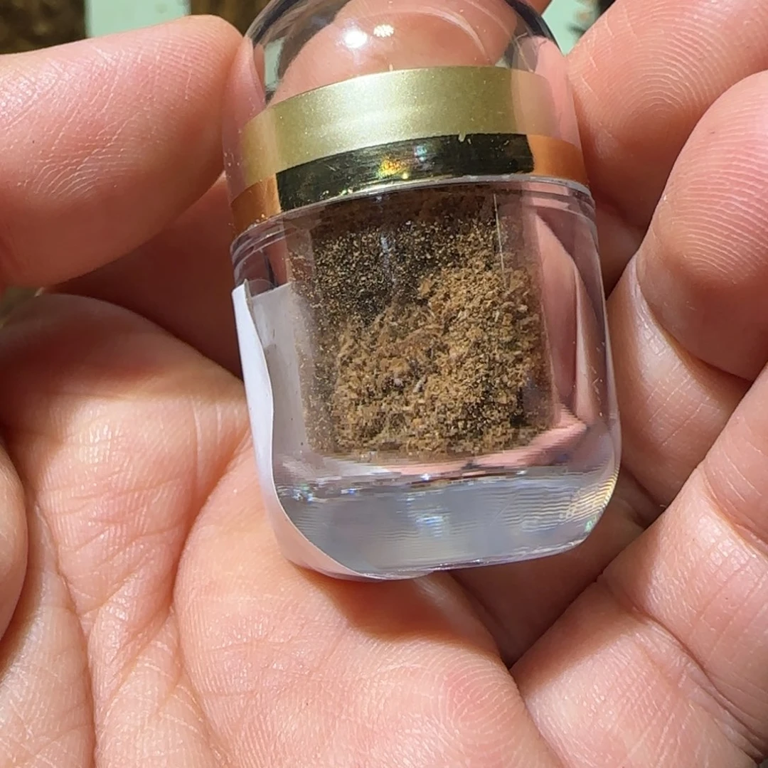 【闪购商品】沉香沉香碎屑芽庄白棋棋星红土根部1克