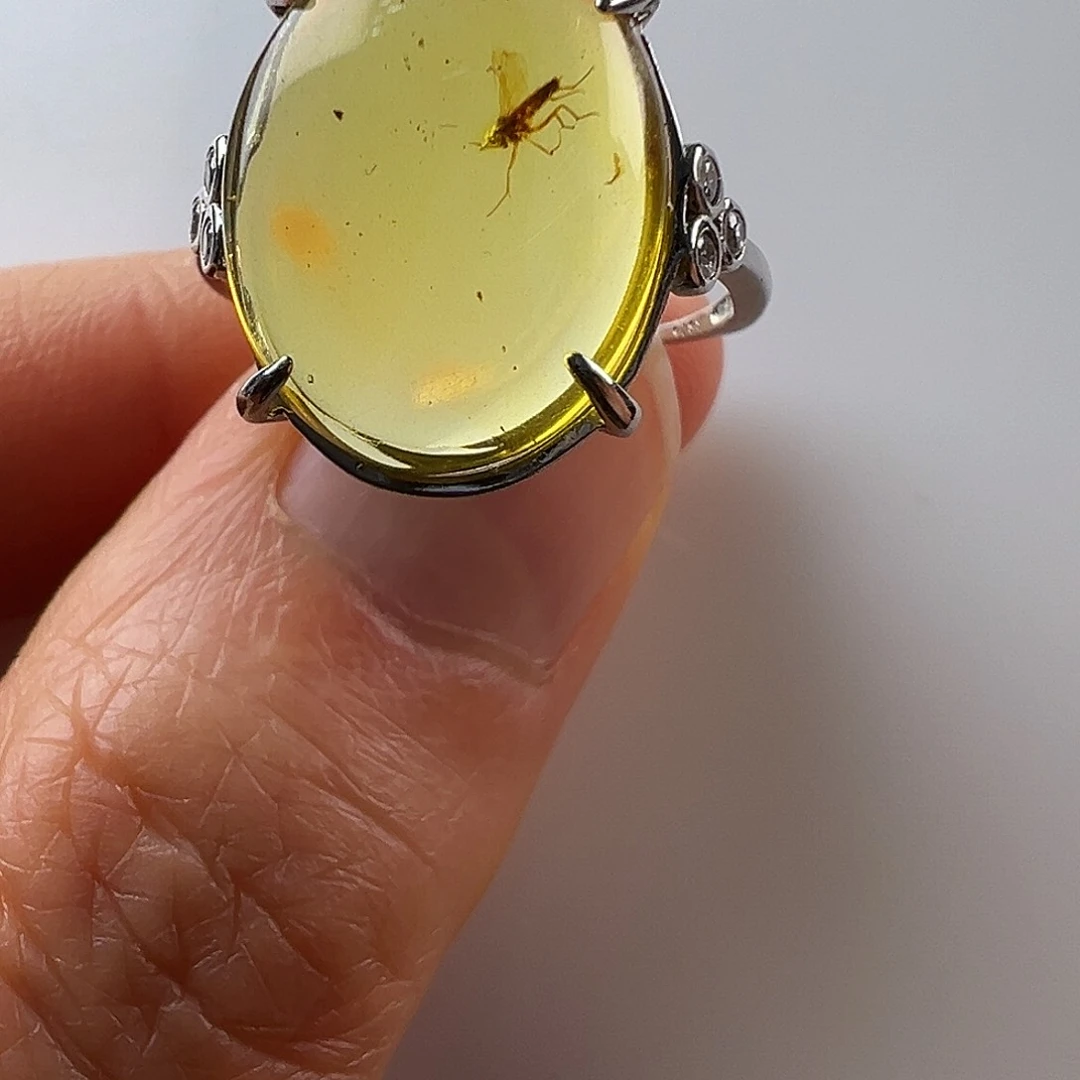 琥珀裸石未镶嵌琥珀虫珀戒指