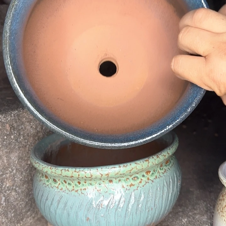微瑕花盆啦啦啦啦