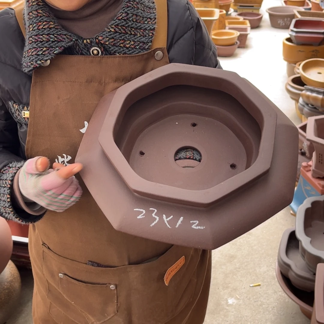 花盆紫砂盆景艺术