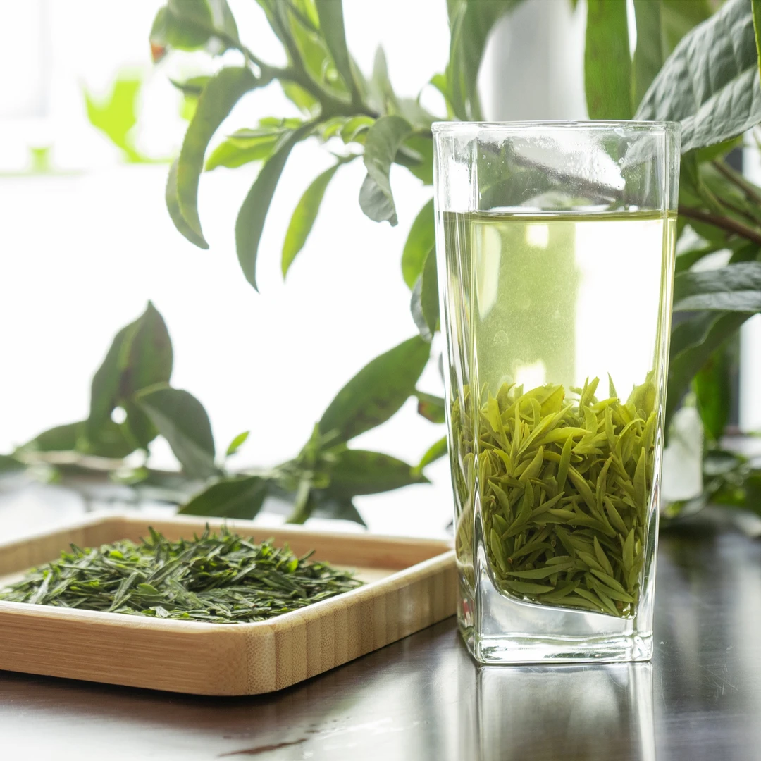 ～2025年扬州特产绿杨春跨年专属明前头采