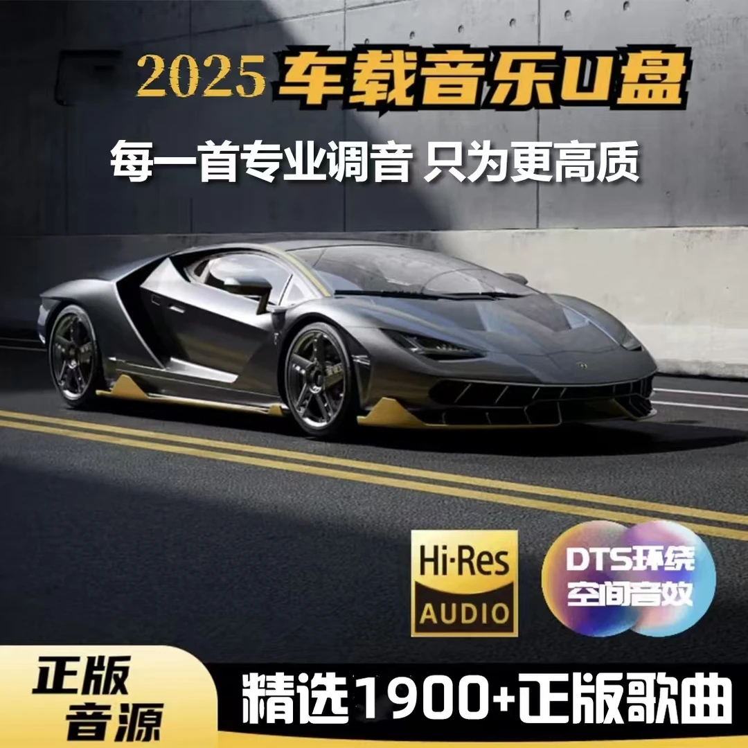 【2025新款车载音乐U盘】专业调音 流行歌曲DJ 小巧便捷