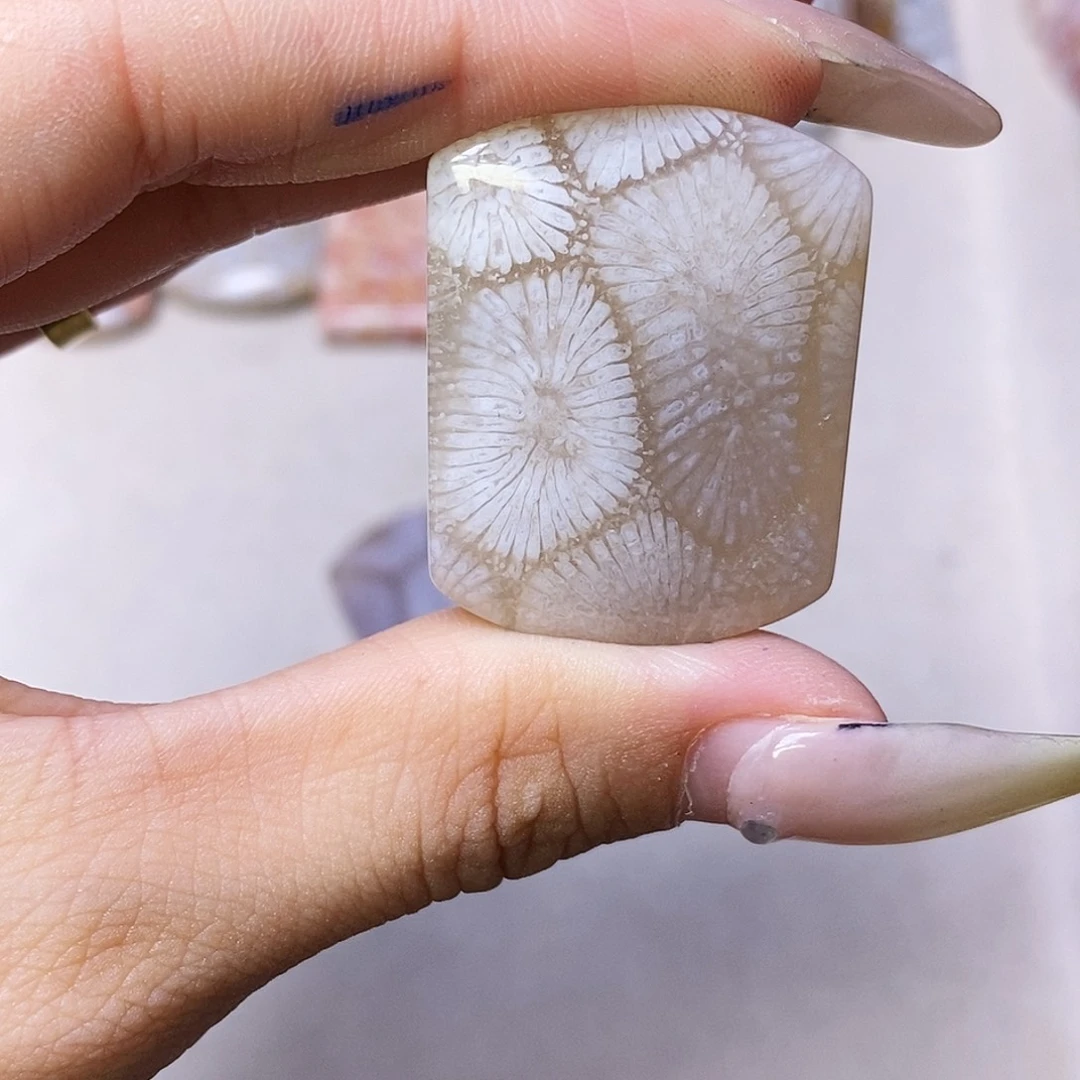 查罗石合金颈饰觉***C