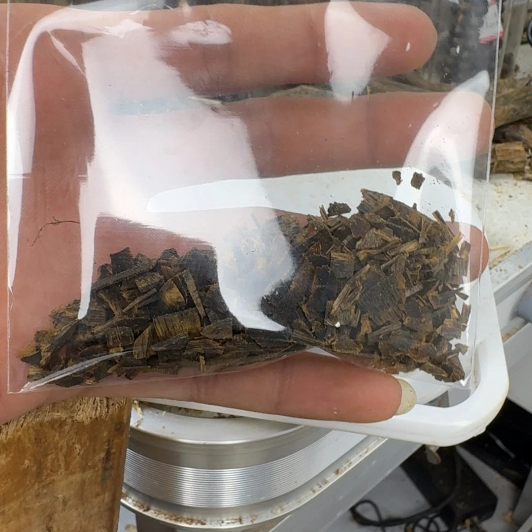 沉香沉香碎屑奇楠沉香沉水边角料10克