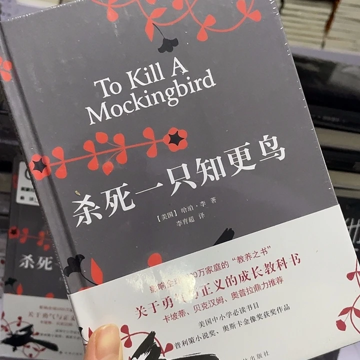 知更鸟   精装带塑封