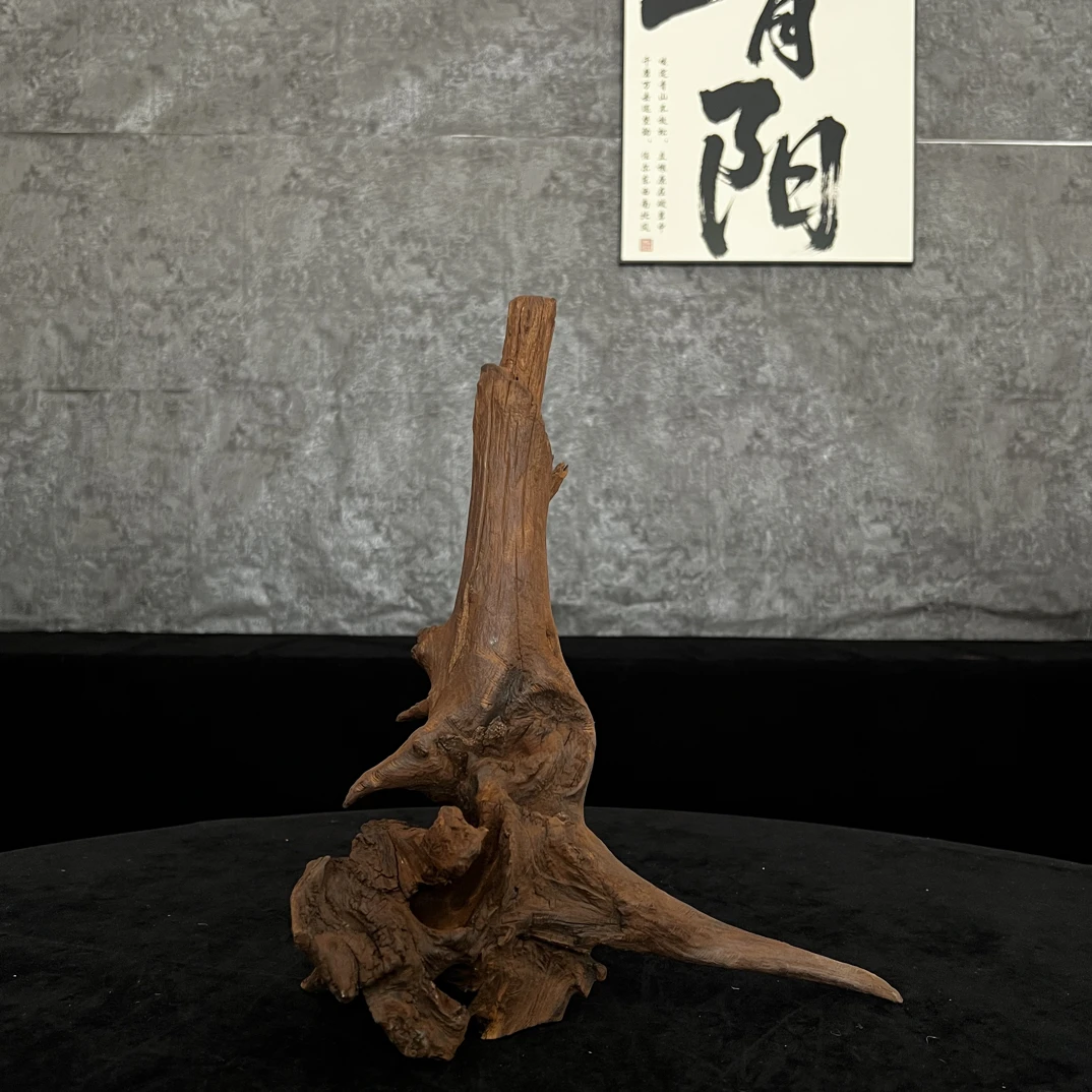 【青阳沉木】云南紫柚木鱼缸造景沉木树桩拱桥飘枝沉木—29.14.36