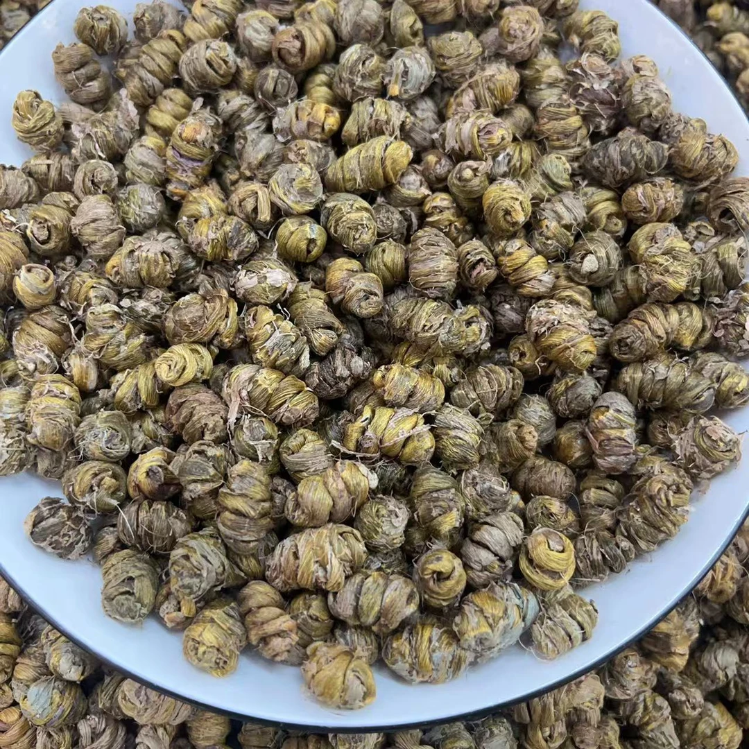 精选铁陂槲壳颗粒饱满农产品 500克包邮