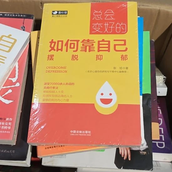 如何靠自己？平装库存书