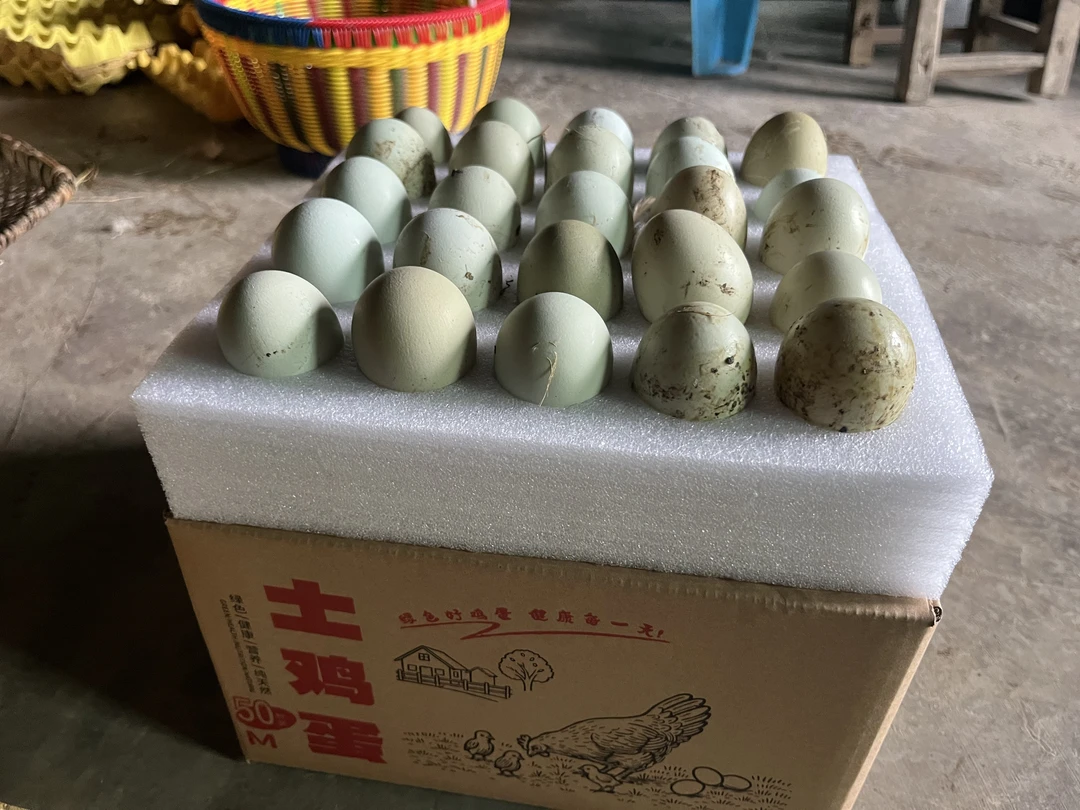 金佛山下苏禽绿壳土鸡蛋 破损包赔 新鲜