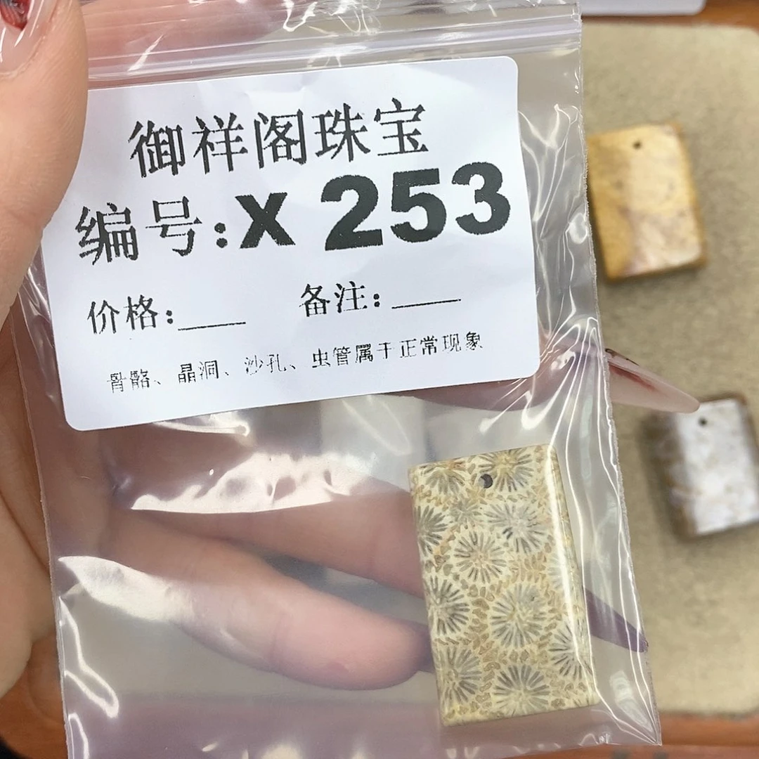 硅化珊瑚（珊瑚玉）颈饰未镶嵌阳****