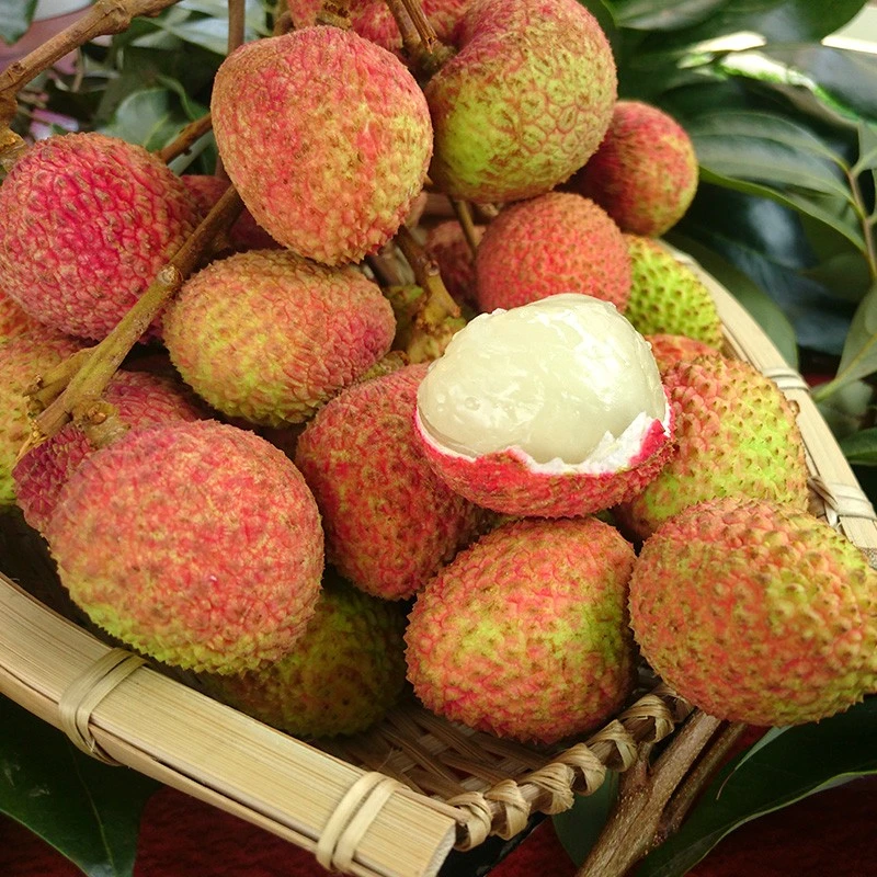 《丹选》桂花香荔枝 2.5斤 礼盒  产地海南 顺丰包邮