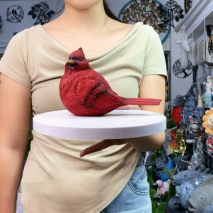 树脂xi w z j lo ho po in