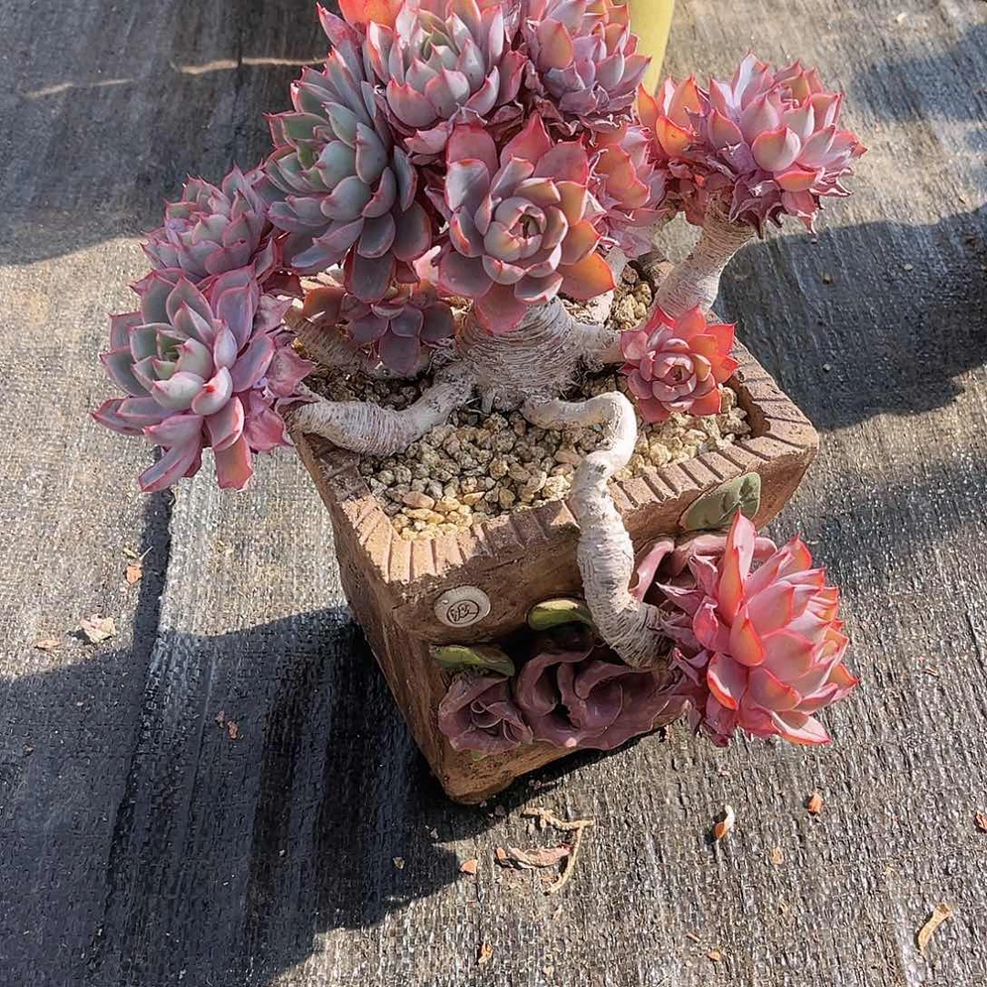 和卡89999999999999