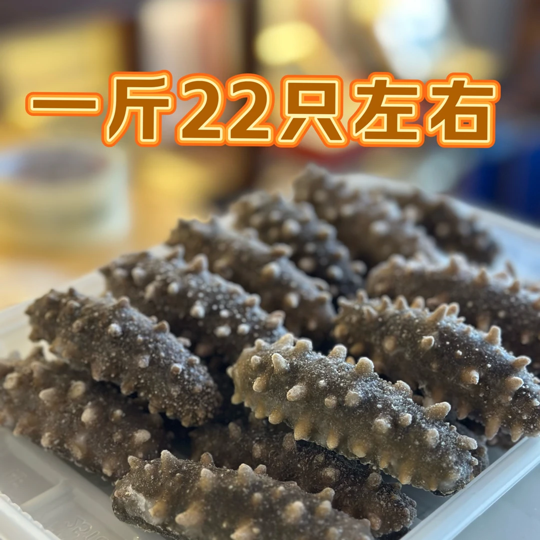 【双旦】大连鲜食海参一斤装