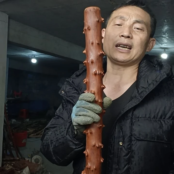 稳定木熟*贵州檬子木   铁马鞭   根艺  半成品