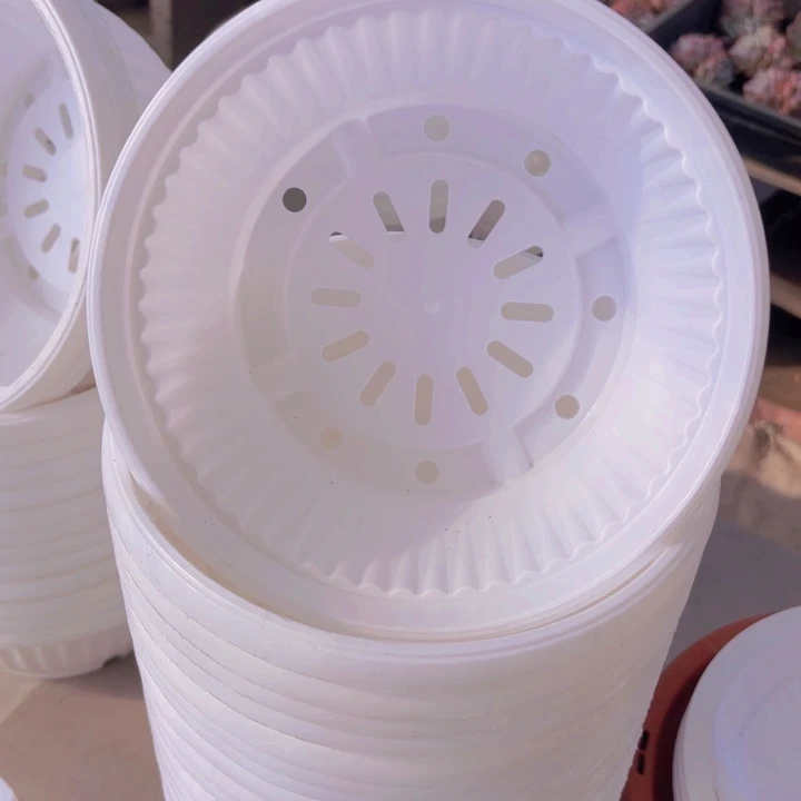 230白色聚宝盆口20一组10个