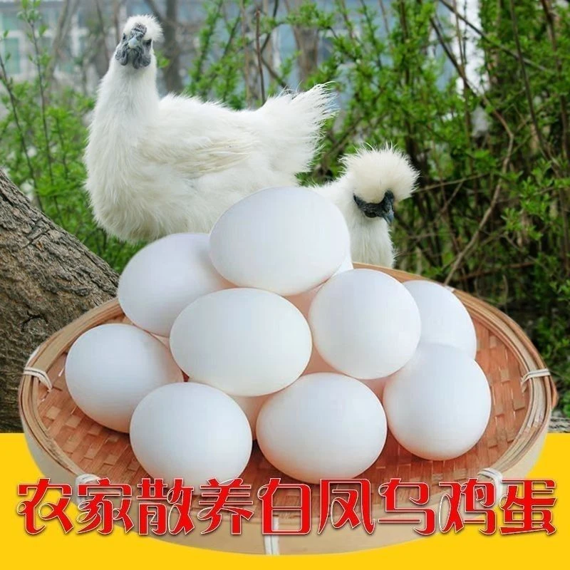 20枚白乌鸡蛋散养白凤乌鸡蛋新鲜散养乌鸡蛋谷物喂养营养丰富