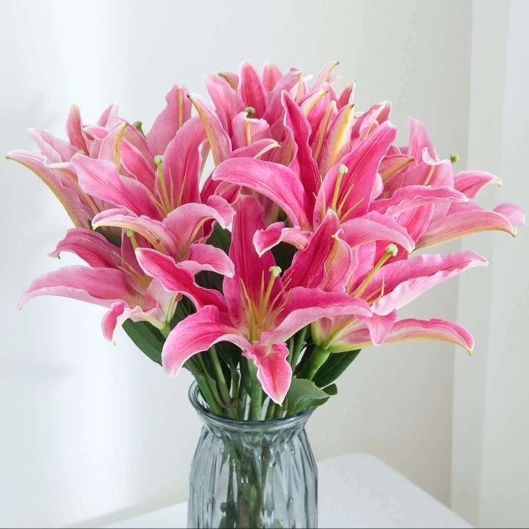 云南昆明基地直发香水百合鲜花水养家用办公室插花速递