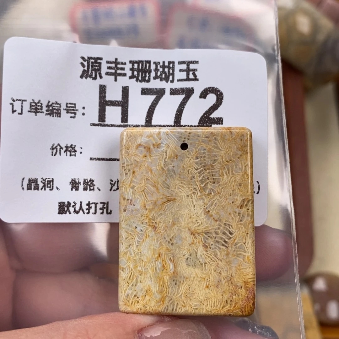 硅化玉颈饰未镶嵌S****y