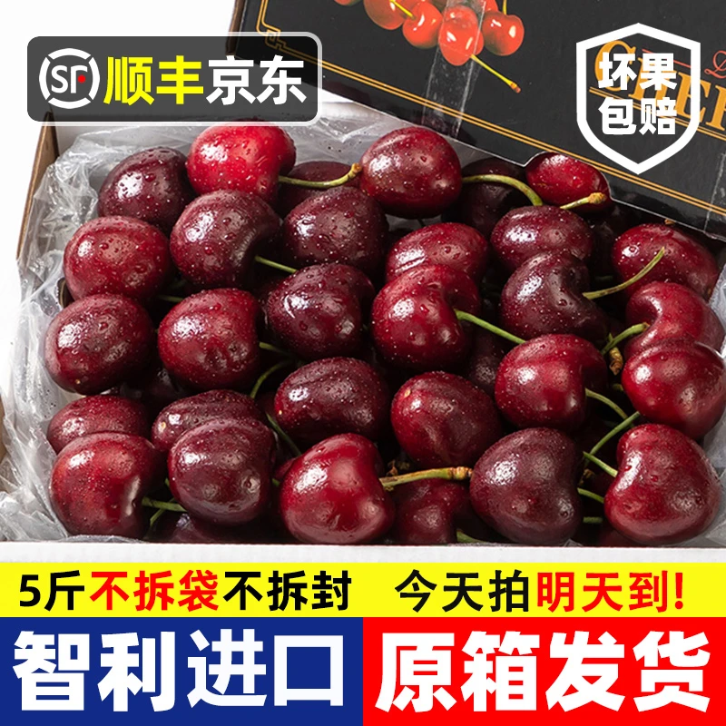 2-3JD特大果【五斤原箱•明天到】智利进口车厘子新鲜宝宝孕妇水果内附果径卡2500g LM海运桑提娜樱桃智利共和国