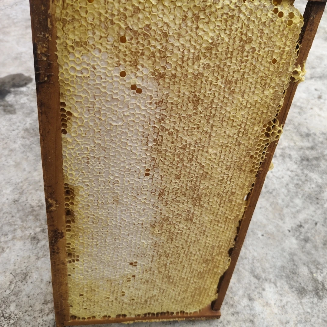 整张蜂巢蜜脾6斤半左右包邮包活