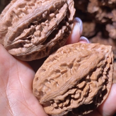 文玩核桃把件东北野生楸子小美90