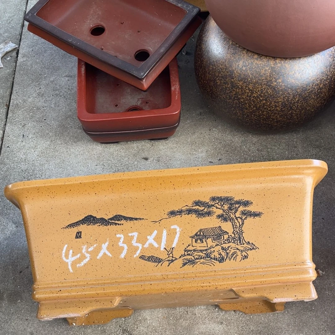 花盆紫砂盆景艺术