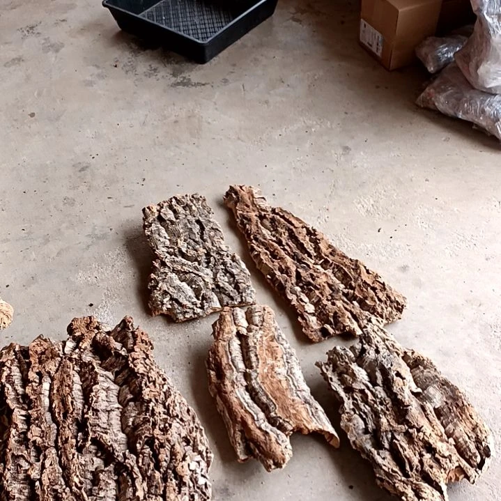 一物一拍一物一发