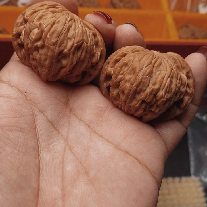 核桃蝴蝶磨盘42尺核桃