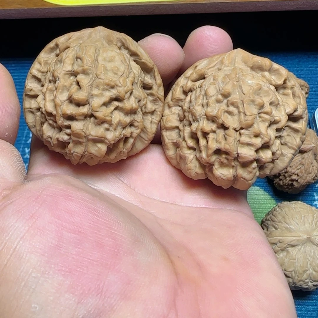 吊坠文玩核桃全品52龙鼎