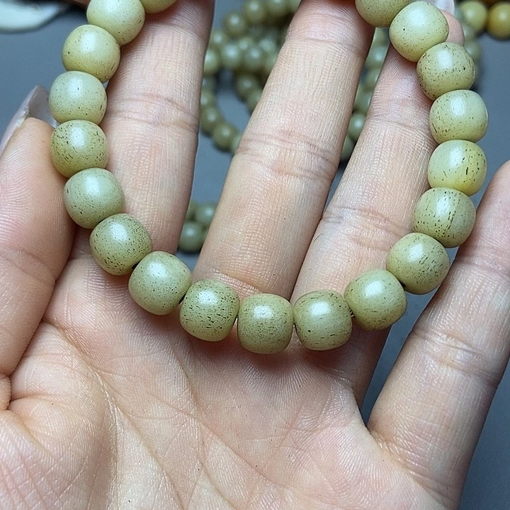 大果紫檀（缅甸花梨）