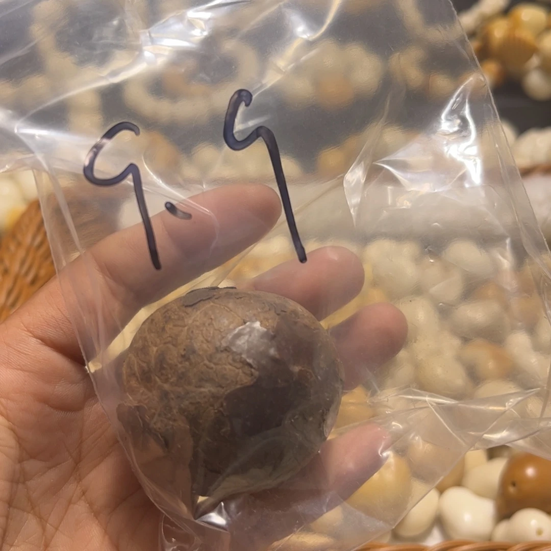 吊坠菩提根/象牙果