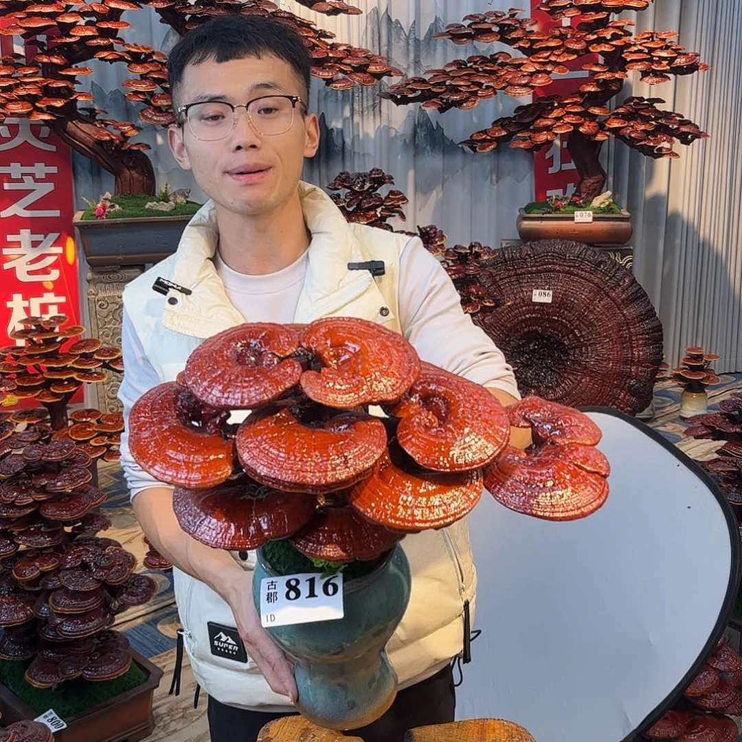 无花朵88888888888