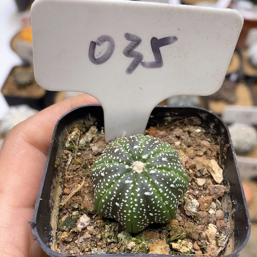 开播开播福利特价来了