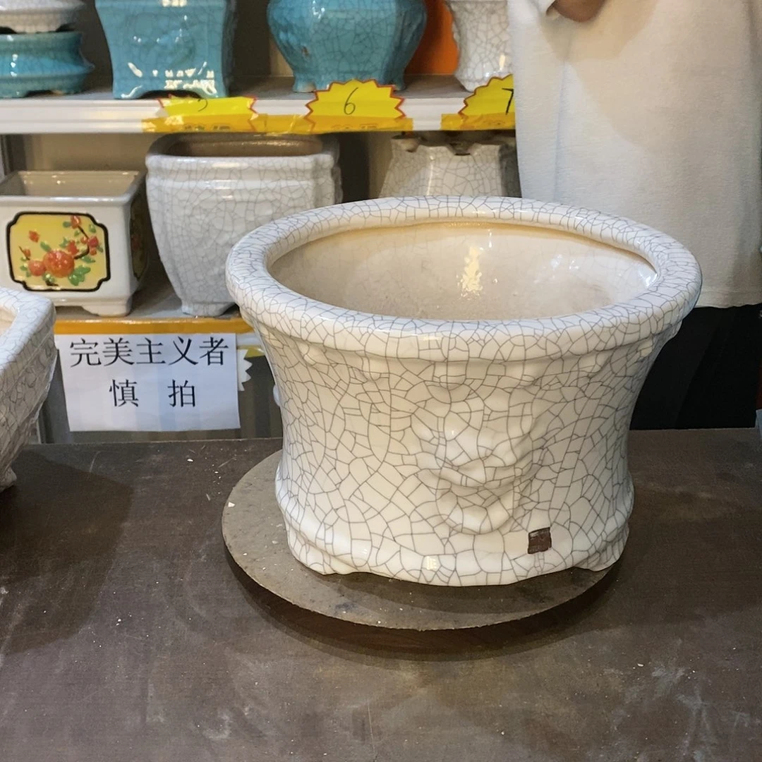 晨*花盆花盆里的花