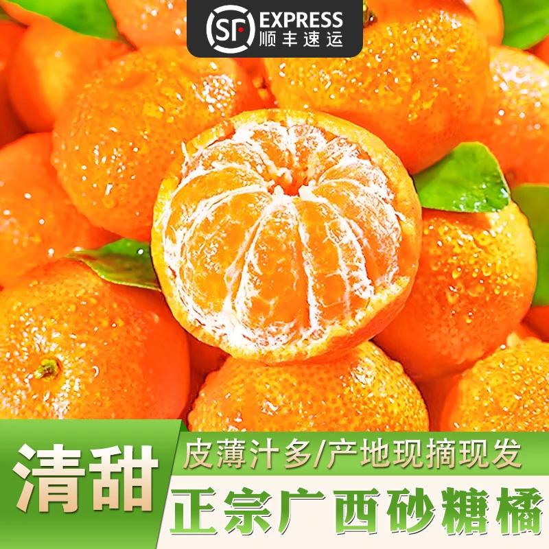 精选广西砂糖橘农家自种爆甜皮薄多汁食用砂糖橘源产地现摘现发