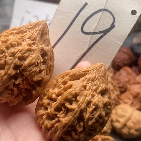 桃核吊坠43高尖大姑石