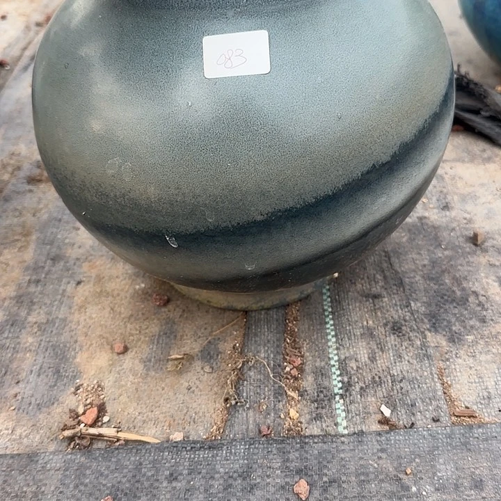 浅**末083花盆头脱土发货不退不换