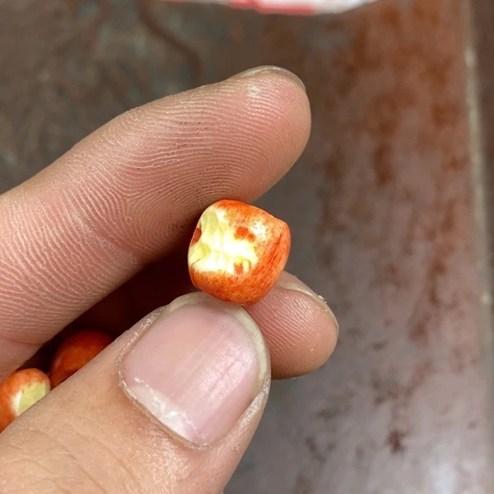 手串/手链驼骨配饰151