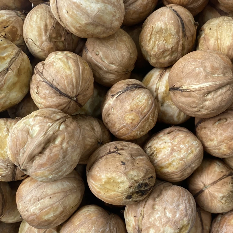 疆丹月新疆阿克苏185纸皮核桃皮薄2025新货坚果中秋送新礼物