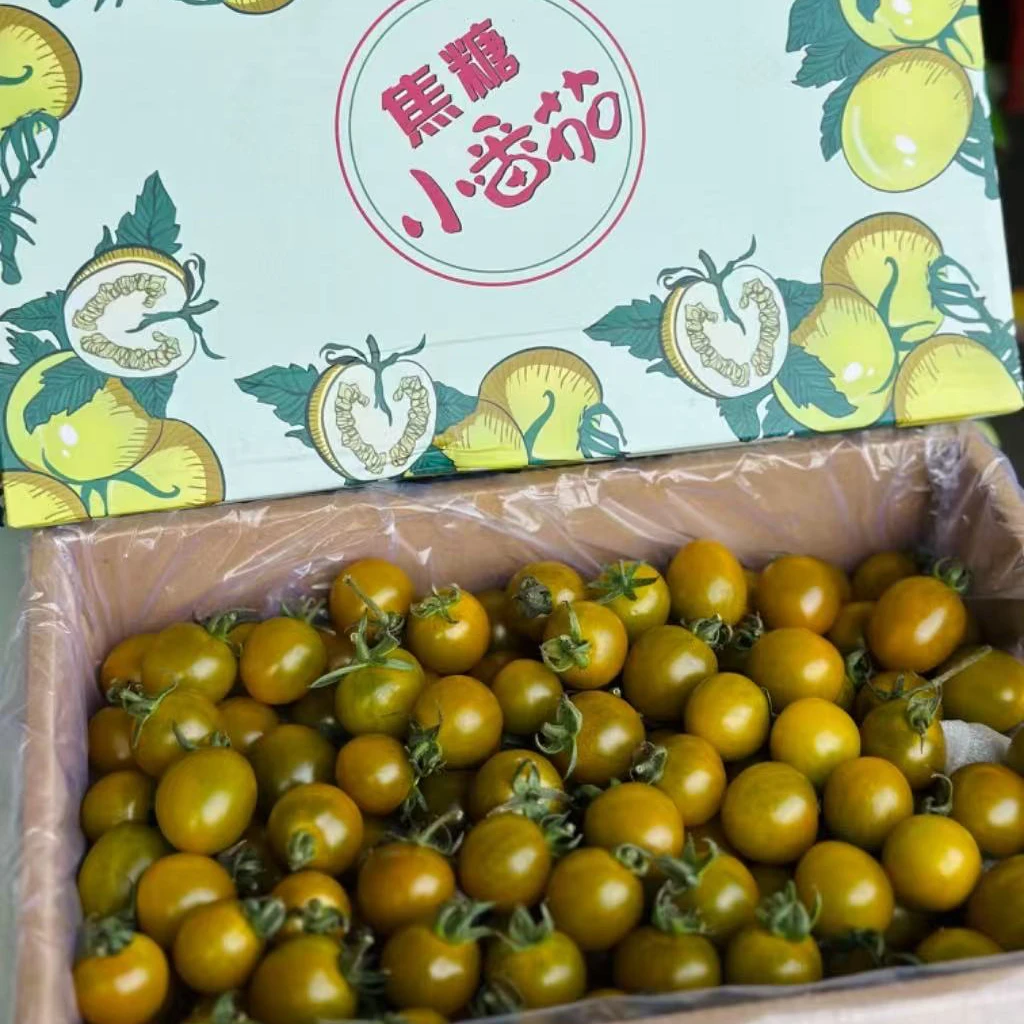 糖珀琥焦糖番茄，甜中带焦糖味毛2.2斤北京市新鲜