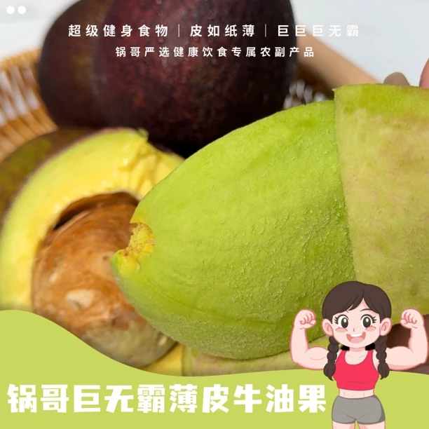 锅哥巨无霸牛油果软糯丝滑绿皮品种冷冻牛油果