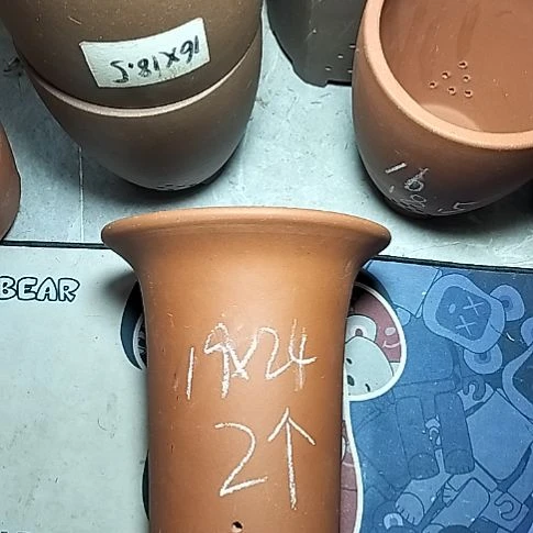 大红兰花两个花盆