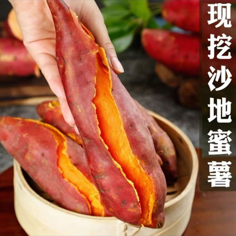 【红薯】湘西农家红薯