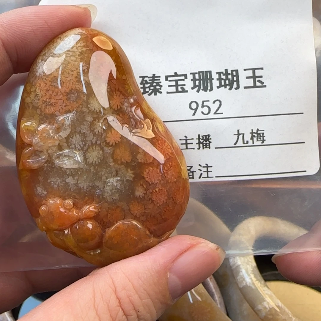 捡****硅化珊瑚（珊瑚玉）未镶嵌颈饰