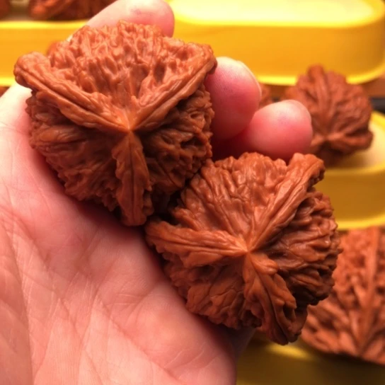 核桃核桃和他的核桃