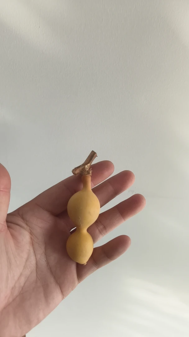 天然带龙头小葫芦手把件文玩盘玩专用福禄葫芦