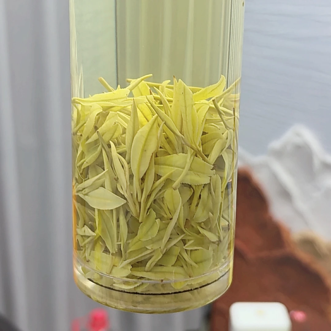 大熊猫 明前 奶香黄金芽白茶 新茶