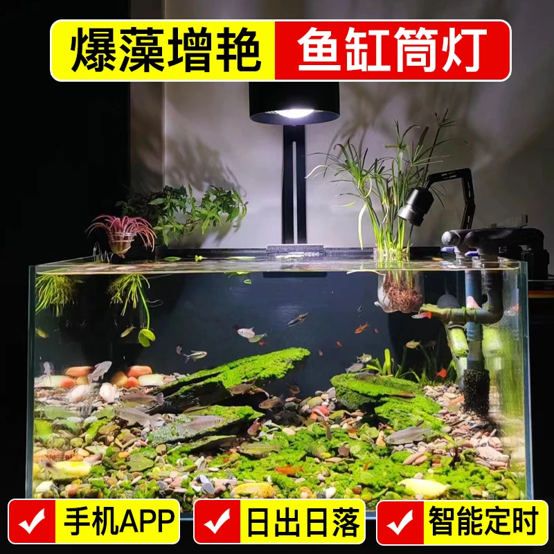 70W手机APP全光谱鱼缸筒灯原生溪流缸专用兰寿泰狮金鱼爆藻增艳灯